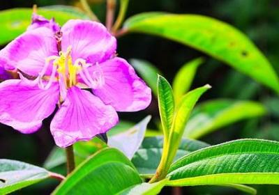 盗梦空间经典语录(优选50句)