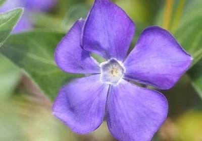 父母爱情经典语录(精选40句)