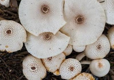 心灵鸡汤经典语录励志(通用60句)