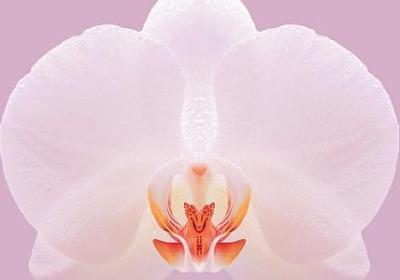 用人不疑疑人经典语录(共70句)