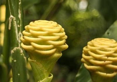 生意人朋友圈经典语录(实用70句)