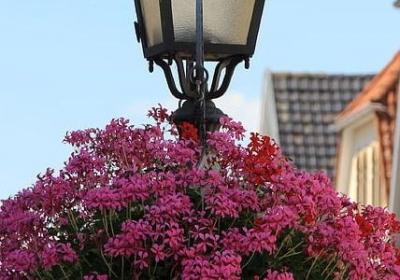 王小波爱情经典语录(实用40句)