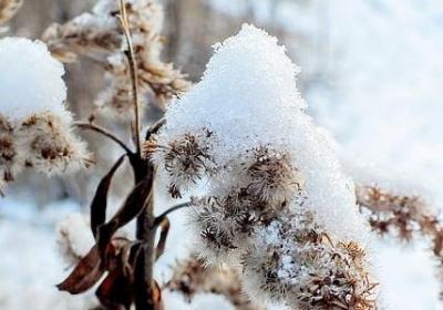 现实与梦想的经典语录(共36句)