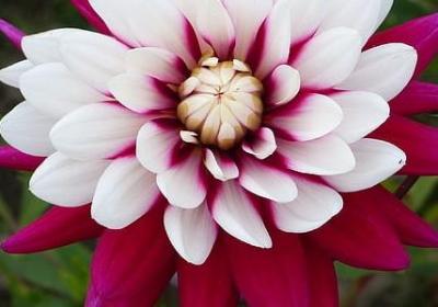 看尽人间繁华经典语录(汇总40句)