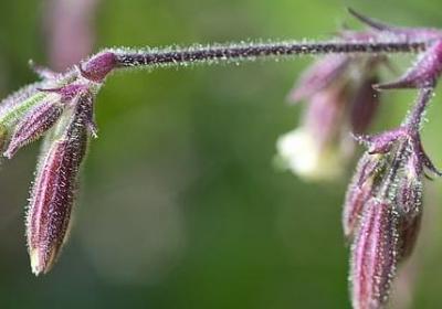 疼痛的说说经典语录(通用50句)