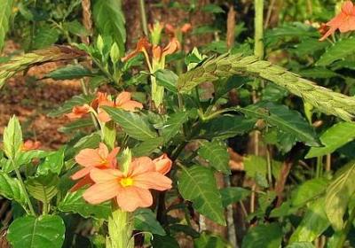 淡然释怀的经典语录(汇总40句)