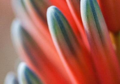 疯子的经典语录(必备40句)