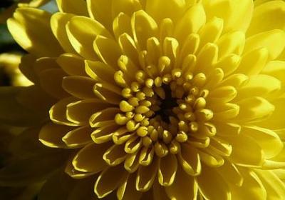 白鹿原经典语录(合集21句)