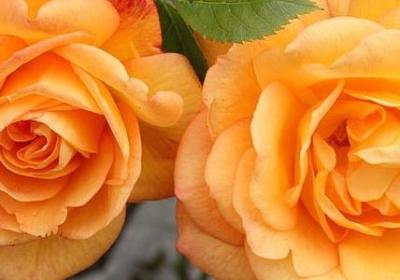 相爱不能在一起的句子经典语录(推荐40句)