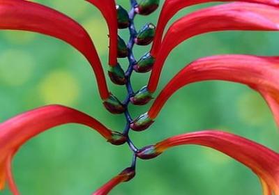 湫的经典语录(精选41句)