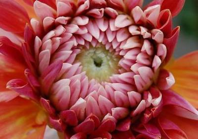 直销话术经典语录(共50句) 直销话术经典语录(共50句)