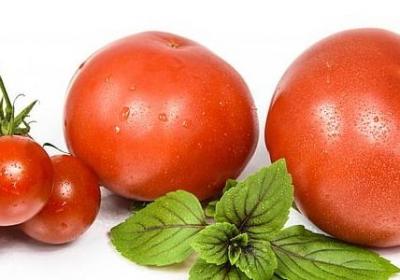 百年孤独经典语录摘抄(89句) 百年孤独经典语录摘抄(89句)