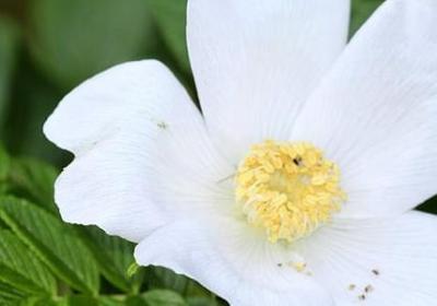 短而走心的经典语录(实用50句) 短而走心的经典语录(实用50句)