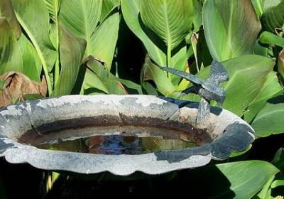 猫的报恩经典语录(汇总40句) 猫的报恩经典语录(汇总40句)