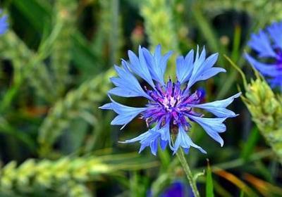 混日子的经典语录(通用80句) 混日子的经典语录(通用80句)