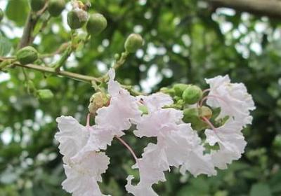 看不清自己经典语录(合集50句) 看不清自己经典语录(合集50句)