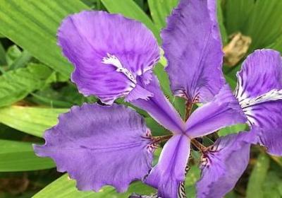 生命中的过客经典语录(优选70句) 生命中的过客经典语录(优选70句)