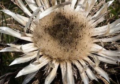 相遇是缘分的经典语录(45句) 相遇是缘分的经典语录(45句)