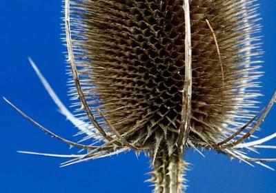 灵魂摆渡的经典语录(实用60句) 灵魂摆渡的经典语录(实用60句)