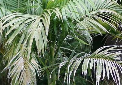 现代诗经典语录(优选20句) 现代诗经典语录(优选20句)