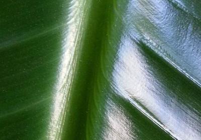 电影经典语录励志(汇总40句) 电影经典语录励志(汇总40句)