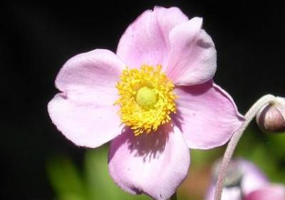 爱情公寓经典语录(优选60句) 爱情公寓经典语录(优选60句)