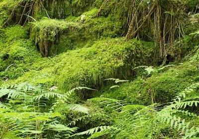 男人语录经典语录(优选40句) 男人语录经典语录(优选40句)