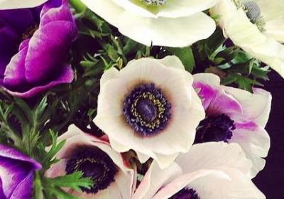 游戏人生经典语录(精选20句)