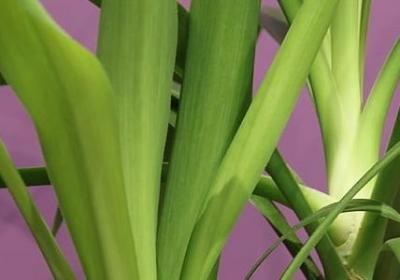 燕双鹰经典语录(优选60句)