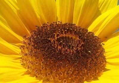 白晶晶经典语录(实用20句)