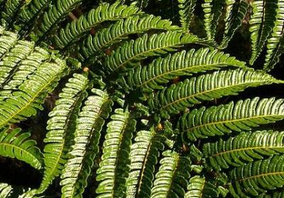 石真语经典语录(推荐20句)