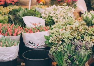 生活真谛经典语录(必备40句)