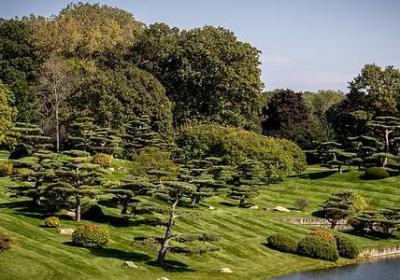 灯下尘经典语录(热门70句)