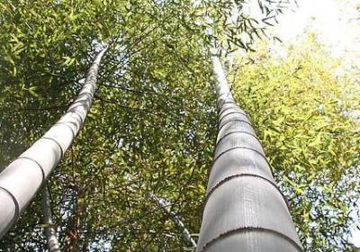 熟人买卖经典语录(精选70句)