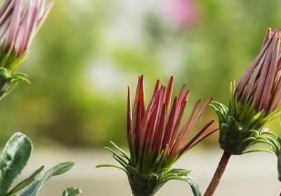 瑜伽美文经典语录(合集20句)