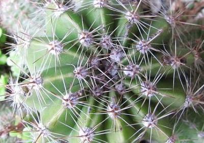 白色相簿2经典语录(精选40句)