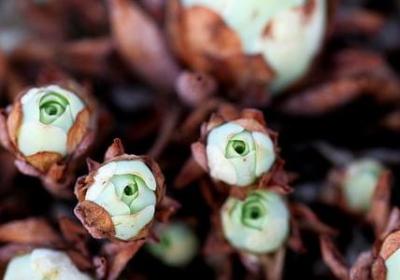 看你笑话的人经典语录(合集40句)