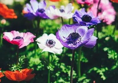 爱情电影经典语录(共58句)