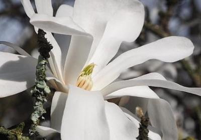 灌篮高手经典语录配图(合集60句)