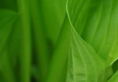 矫情给谁看的经典语录(实用70句)