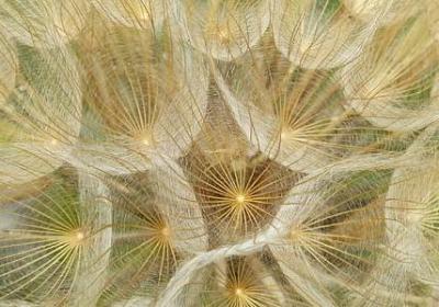 爱情与现实经典语录(通用60句)