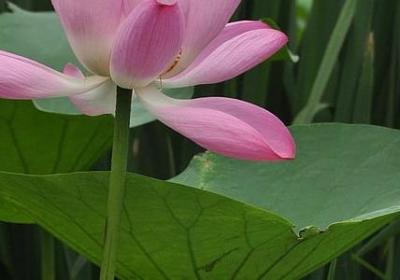 真正的闺蜜经典语录(共40句)