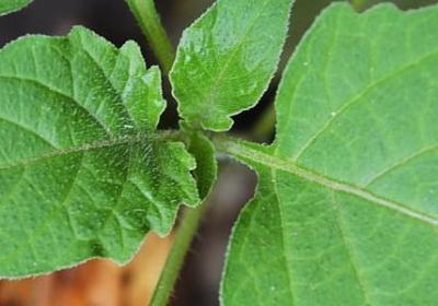 珍惜眼前人经典语录(推荐40句)