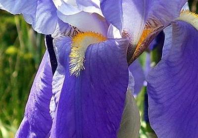 王志文经典语录(热门70句)