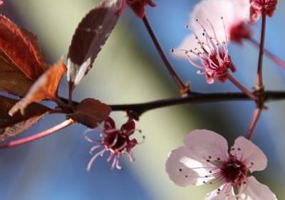 爱情语录经典语录(通用50句)