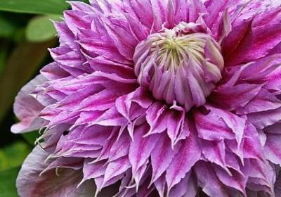 皮囊的经典语录(优选60句)