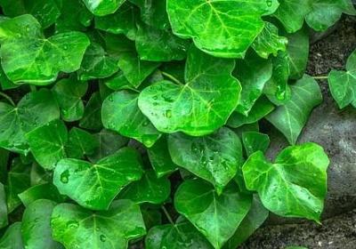 登山经典语录(共20句)