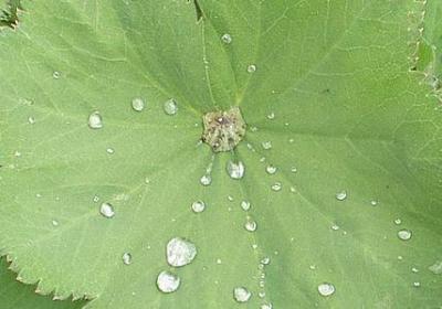 爱情不后悔的经典语录(合集77句)