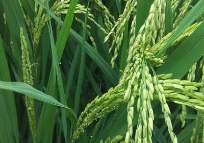 爱情这东西的经典语录(汇总90句)