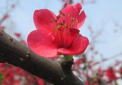 白浅经典语录(合集20句)